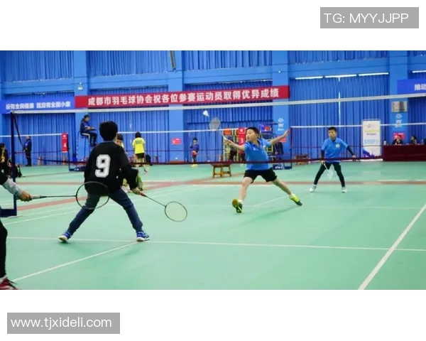 成都羽毛球队的奋斗历程与辉煌成就全景回顾