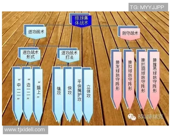 杭州排球队总决赛战术分析与表现评估全面解读