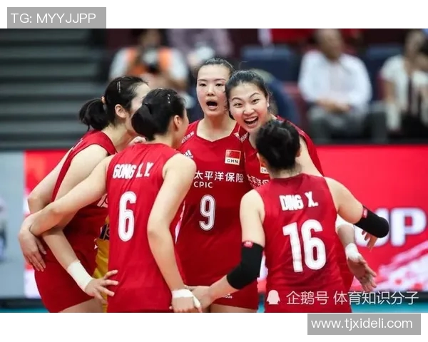 武汉排球队实力强劲荣登全国排球实力排行榜第二名