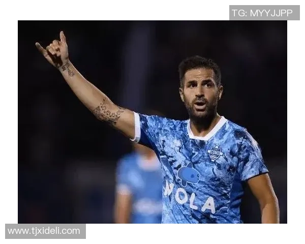 力气最大的足球明星揭秘：他们如何在赛场上展现超凡力量与技巧