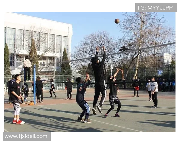 排球新手必看：轻松掌握节奏与技巧的全面入门指南