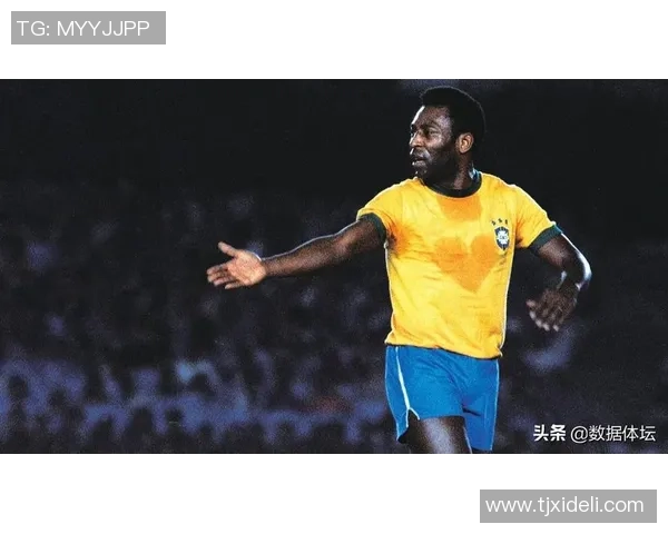 足球明星的独特魅力与风采全景展示及特征分析