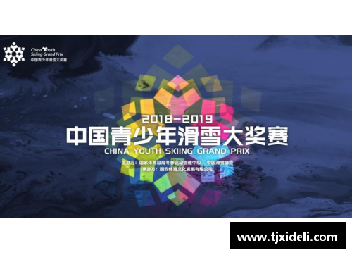 未来之星：2017年潜力新秀探寻与成长轨迹