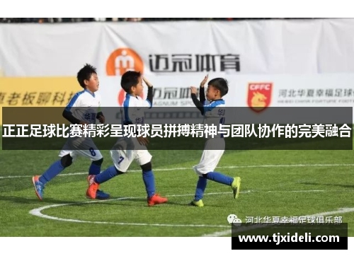 正正足球比赛精彩呈现球员拼搏精神与团队协作的完美融合